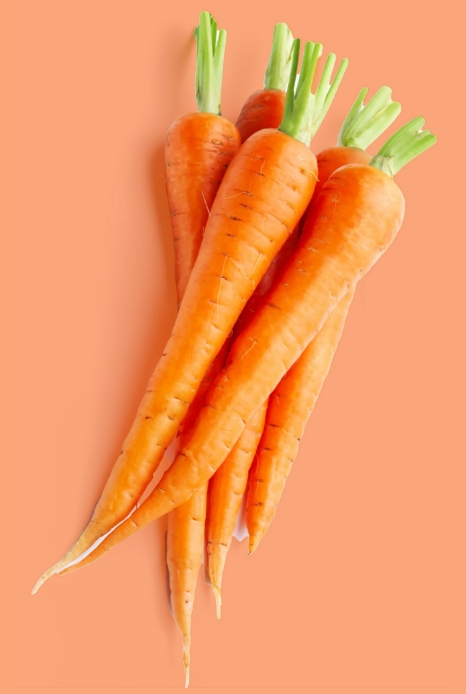 Carrot