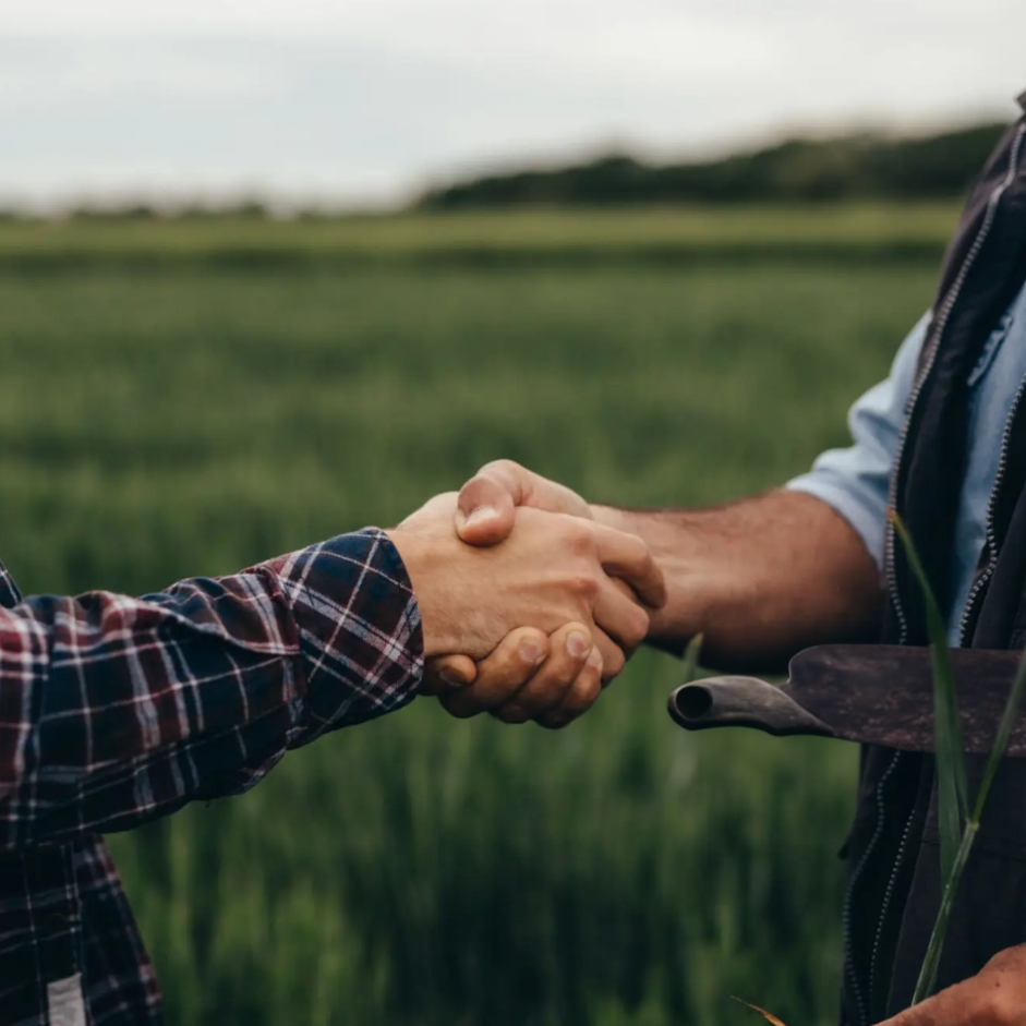 Handshake