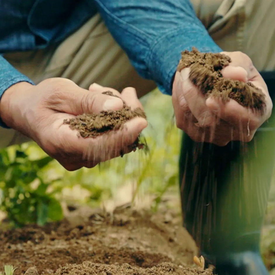 Soil